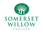 Somerset willow